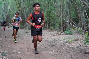 BIB: 22461, 2543
                            <button type="button" onclick="openModal(4123962)" class="btn btn-primary btn-sm float-right btn-popup" data-toggle="modal" data-target=".modal-high-quality">
                        <i class="fas fa-shopping-cart"></i> Add to Cart
                    </button>
                                            <button type="button" onclick="isThisMe(4123962, true)" class="btn btn-success btn-sm float-right btn-popup btn-isme hidden" data-toggle="tooltip" data-placement="bottom" title="นี่คือรูปของคุณใช่ไหม คลิกที่นี่เพื่อเอาเข้าอัลบั้ม">
                        <i class="fas fa-plus"></i> Add to album
                    </button>
                    <button type="button" onclick="isThisMe(4123962, false)" class="btn btn-warning btn-sm float-right btn-popup btn-isnotme hidden">
                        <i class="fas fa-ban"></i> Remove from album
                    </button>